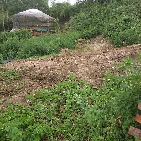 Yourte Rustique En Permaculture Creysse  Exterior photo