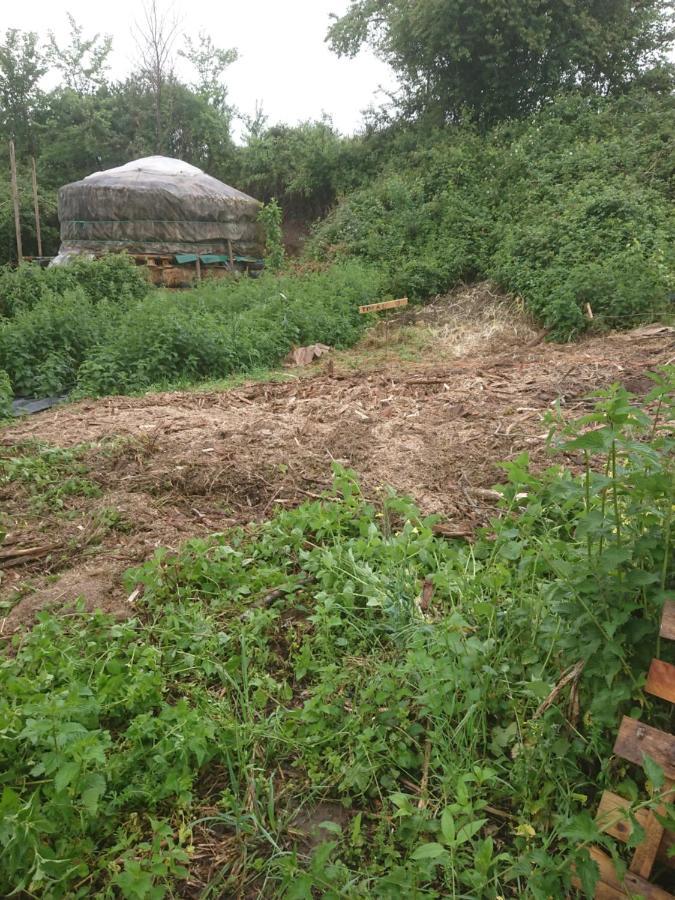 Yourte Rustique En Permaculture Creysse  Exterior photo